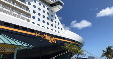 disney cruise port in florida