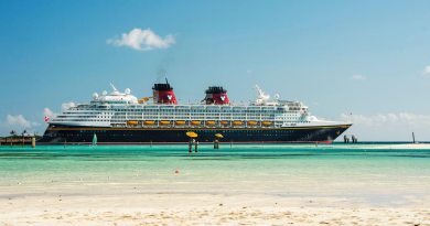 disney cruise dinner and show times