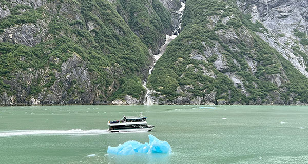 This Week's Disney Cruise Deals Won't Last Long!